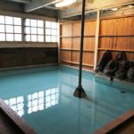 岩下温泉 岩下温泉旅館 日帰り入浴 ★★★★