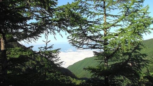 たんげ温泉(上信越)