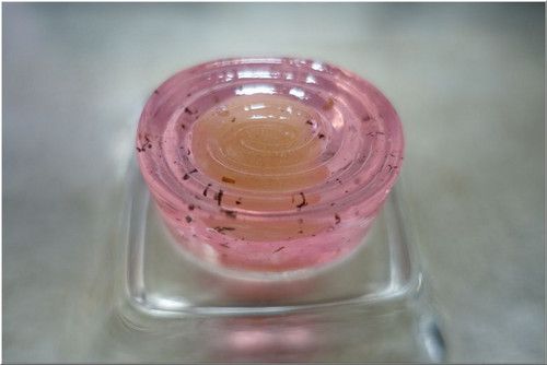 【湯原温泉〔ゆばらの湯 米屋〕(岡山・、真庭市)】 & 暑さをしのぐ上生菓子 「紅涼水(こうりょうすい)」