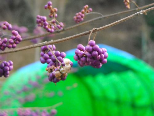 記憶に残る温泉旅と、記録の積み重ねと