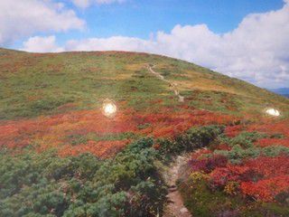 栗駒 駒の湯温泉 紅葉の季節を迎えます
