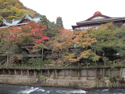 塔ノ沢温泉 元湯 環翠楼 宿泊レポート