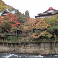 箱根・塔ノ沢温泉 元湯 環翠楼の口コミ