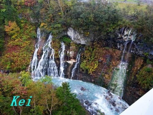 白金温泉至近「白ひげの滝」と紅葉、ブルーリバー橋 〔北海道美瑛町〕