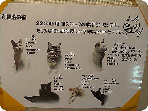 温泉民宿 海風荘2018年 その1 部屋編