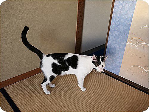 温泉民宿 海風荘2018年 その4 朝食編