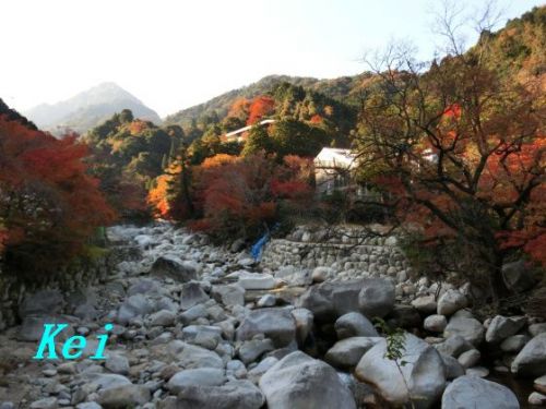 三重県・湯の山温泉の紅葉(7)三滝川と紅葉と野猿、国民宿舎 湯の山ロッジ 〔三重県菰野町〕