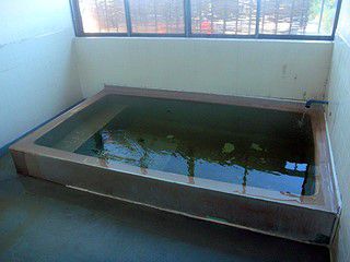布下温泉 民宿きじま荘
