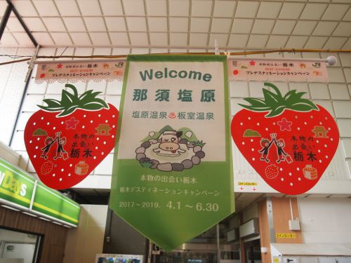 冬の”とち旅”へ (久しぶりに栃木県の温泉へ行こうと思う)