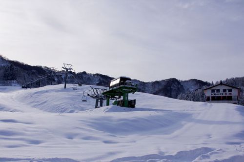 12/29 松之山温泉スキー場オープン!