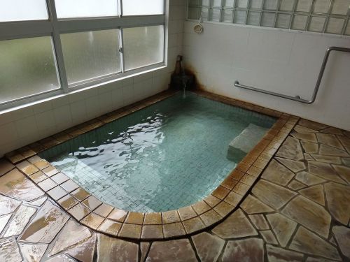 笹倉温泉 龍雲荘(新潟県糸魚川市) ③千寿の湯 内湯は源泉掛け流し
