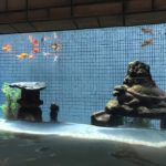 肘折温泉 西本屋旅館 日帰り入浴 ★★★+