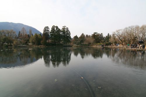 【由布市】由布院温泉 下ん湯~由布院は温泉地!観光地ど真ん中の混浴風呂