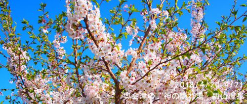 奥会津の“神の隠れ湯”西山温泉 – その2