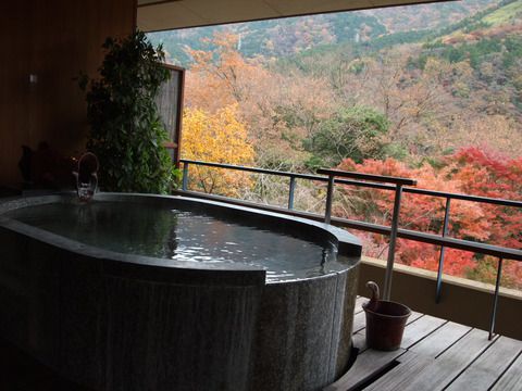 箱根吟遊 露天風呂付き客室(2) ③