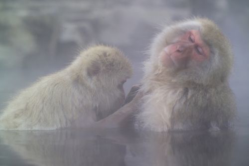 温泉でストレスは軽減されるのか?