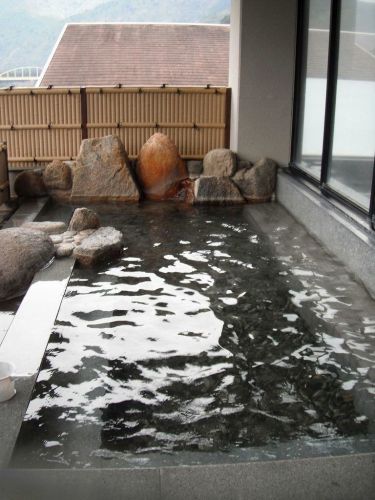 入鹿温泉ホテル瀞流荘(熊野市) 湯ノ口温泉や瀞峡近くの温泉ホテル