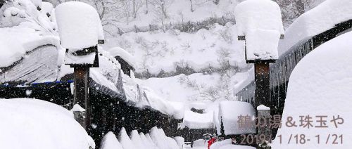 大人の休日 ① 「おときゅうパス」を利用し念願の『鶴の湯本陣』に宿泊 雪見の露天風呂最高!