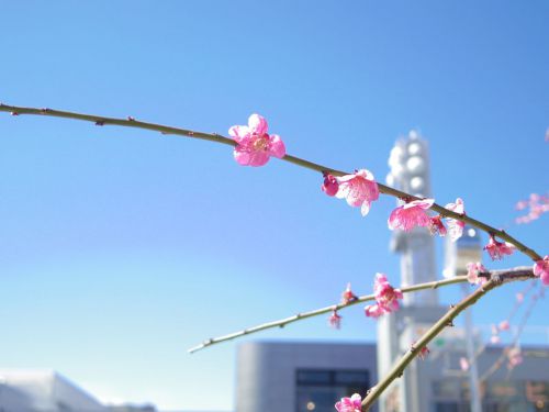 日帰りでも、温泉旅へ。