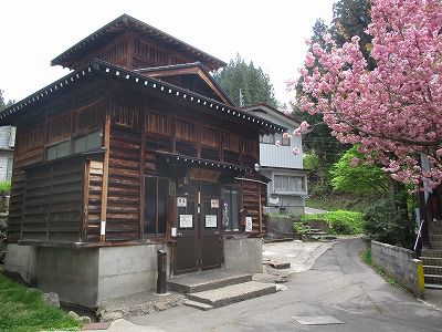山桜が満開だった野沢温泉 滝の湯