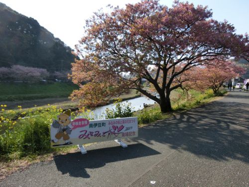 2019/3/2(土) 道の駅下賀茂温泉湯の花 静岡県