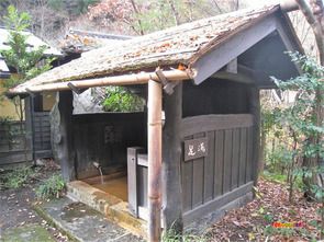 熊本県 黒川温泉 旅館山河 足湯