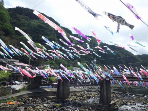 熊本県 杖立温泉 鯉のぼり祭り