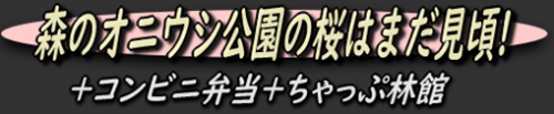 森のオニウシ公園の桜はまだ見頃+コンビニ弁当+温泉パスポートで