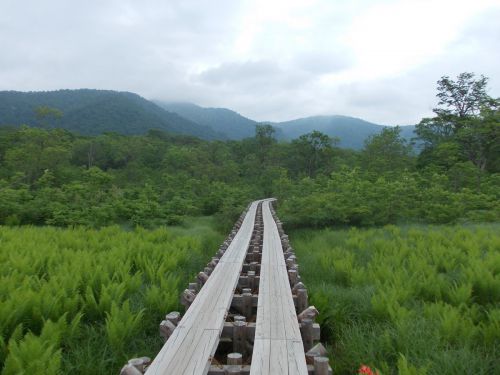 関越交通バス「鎌田線」に乗って、老神温泉・尾瀬戸倉温泉(群馬県)へ。