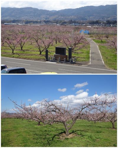 飯坂温泉旅館青葉 2019年4月(1)