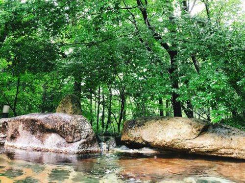 日光小倉山温泉 春暁亭ゆりん入浴記 お湯は極上かつ深夜2時まで営業の日帰り温泉