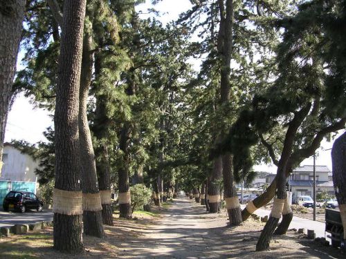 久しぶりに静岡県へひとり温泉旅をしてみようと思う