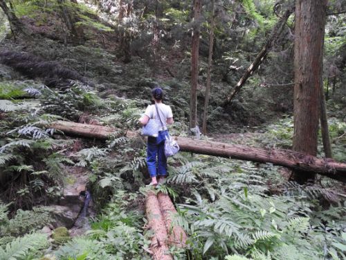 天然の芸術品に感動!島根県美郷町 湯抱(ゆがかい)温泉・中村旅館