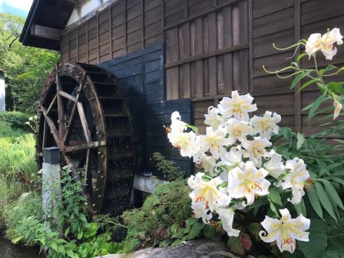 盆休み ぬる湯を求めて 横向温泉 滝川屋へ