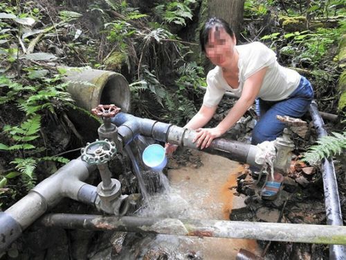岡山県某所 静かな森の中の源泉