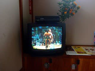 上諏訪温泉 宮の湯
