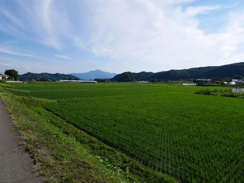 2018.6 かやぶきの源泉湯宿 悠湯里庵・別館 悠山 カートとモノレール ①