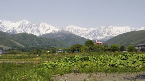 白馬八方温泉 みみずくの湯