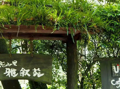 忘れの里雅叙苑と妙見石原荘へ~おひとりさま癒しの温泉旅を!