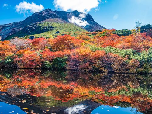 ■19.11/16(土)~17(日)栃木那須・塩原温泉 混浴オフ会。温泉ペンション貸切りプランで24時間入り放題!