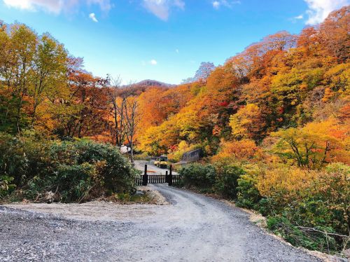10月中旬が紅葉のピーク!乳頭温泉郷 黒湯温泉で日帰り入浴して紅葉を楽しんできた