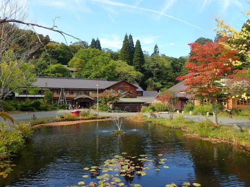 蔦温泉旅館宿泊記 紅葉の名所「蔦沼」至近！足元湧出の一軒宿に一人泊