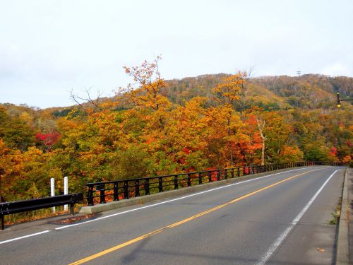 登別温泉 紅葉情報 2019 10.22