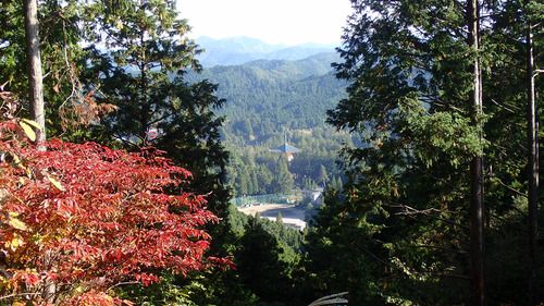 高野山から熊野三山まで・紀伊山地の霊場と参詣道めぐり+温泉(*^。^*)