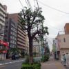 この日の目的地は那須塩原!大江戸温泉物語グループで食べ放題温泉宿泊♪