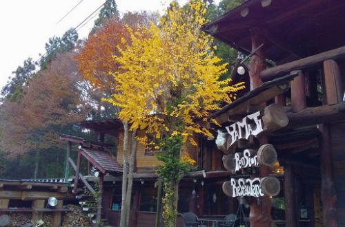 水上温泉、レストラン山路と紅葉