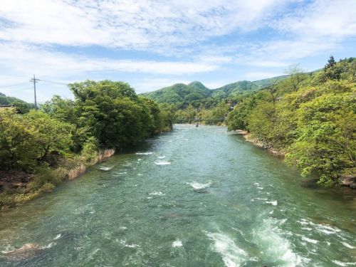 群馬県 上牧温泉 大峰館宿泊記 飲泉もできる極上湯の宿で山の恵みを堪能