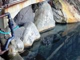 静岡県 東伊豆北川温泉「黒根岩湯」「足湯」