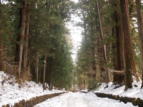 年末に、静かな温泉旅へ。