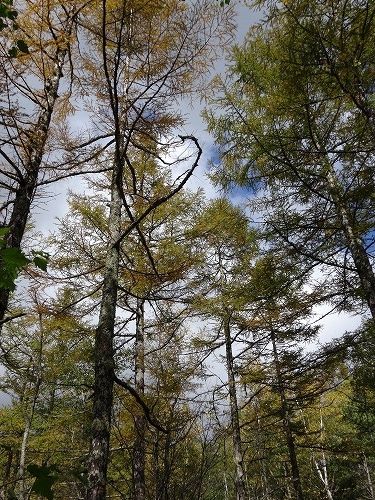 安曇野穂高温泉お宿なごみ野 2019年10月(1)